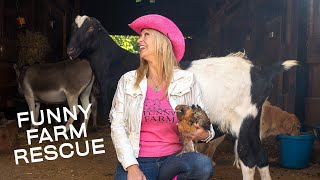 Funny Farm Rescue, Saving Animals and Educating Rowan University Students 🐴