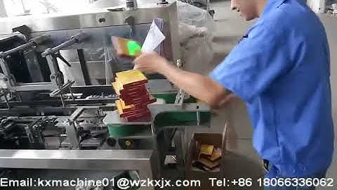 Automatic Sachet Cartoning Machine with Auto Folder (auto fold instruction manual)