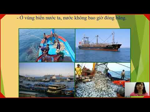 Lớp 5 - Tuần 5 - Địa lý - Địa lí Việt Nam - Bài 5: Vùng biển nước ta.