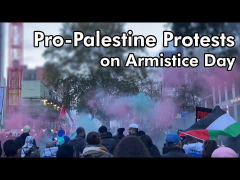 Pro-Palestine Protests on Armistice Day