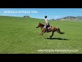 Gallop in mongolia horse riding trails by mongolia travel  tours