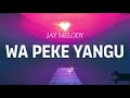 Jay melody - wa peke yangu (Official music audio)