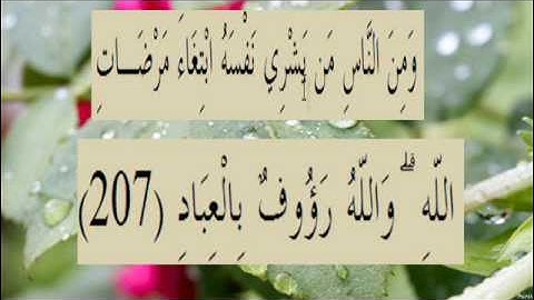 القران الكريم سورة البقرة الاية 207