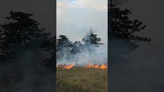 Aerial Firefighting in Action: Air Tractor Water Drop on Fortica Bushfire in Mostar 2025