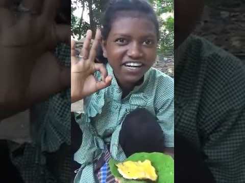 Patra pada egg
