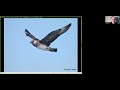 2022 Seawatch Volunteer/Docent Training