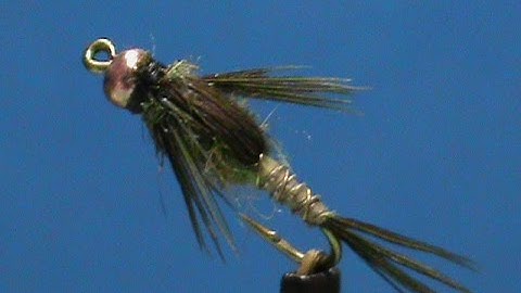 Beginner Fly Tying an Olive Biot Nymph with Jim Misiura