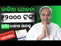 Kalia Yojana money transfer 2023 | Nuakhai Special | 2000 credit farmers