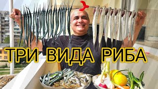 видео: Най - вкусната риба приготвена на скара и пържена в тиган! Карагьоз, Зарган, Гюмюш, Сафрид и скариди картинка: Най - вкусната риба приготвена на скара и пържена в тиган! Карагьоз, Зарган, Гюмюш, Сафрид и скариди