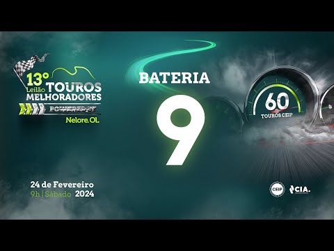 Bateria 9 - 13º Leilão de Touros Melhoradores Nelore OL - Edição Virtual