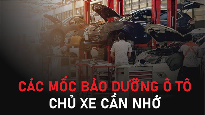 Container loại nào có chi phí bảo dưỡng cao nhất năm 2024