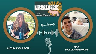 Pig Parent Chronicles: Max's Decade of Love with Pickle and Sprout
