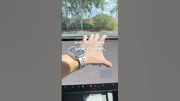 Tesla Pin-Activated Car Driving & Security Features