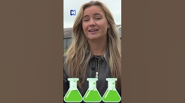 Crimineel raakt zijn huis kwijt om schoonmaakkosten van drugslab te betalen