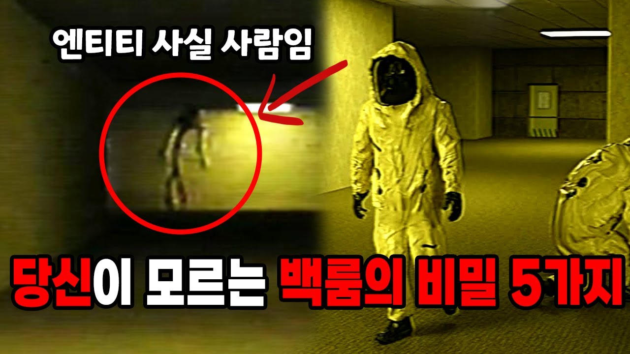 절대 나올 수 없는 백룸에 대한 비밀 5가지 ( 드디어 밝혀지는 백룸의 정체 ) 