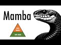 Mamba  a replacement for transformers