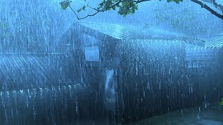 Falling Asleep with Torrential Rain & Thunder Reverberated on Dull Corrugated Iron Roof at Night