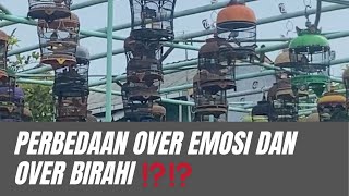 WAJIB DIPERHATIKAN ‼️ GACORAN LOMBA BIAR GA OVER EMOSI dan OVER BIRAHI ⁉️