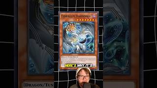 THE NEXT $100 Yu-Gi-Oh! CARD (Better Than MAXX C?) #yugioh