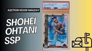 Recent Auction House Mailday