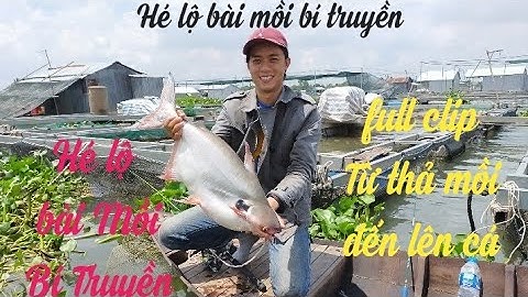 Câu cá Dồ Đém bằng bài mồi bí truyền - cá ăn trên tay luôn chưa đầy 5 phút - Video 121