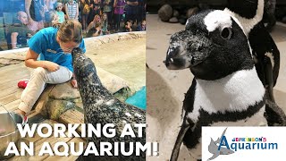 A DAY IN MY LIFE AS AN AQUARIUM EMPLOYEE! || Jenkinson's Aquarium