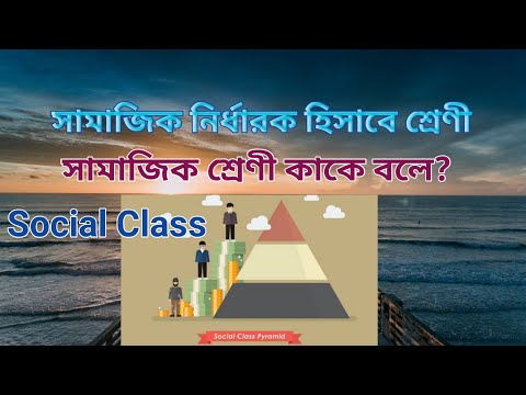 সামাজিক নির্ধারক হিসাবে শ্রেণী | সামাজিক শ্রেণী | Social class | সামাজিক শ্রেণী কাকে বলে |