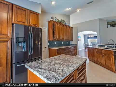 8130 ALAMOSA WOOD AVENUE, Ruskin, FL home video tour