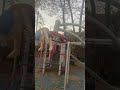 Jeffy at the playground