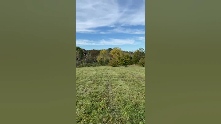 Joy Weiner - 16 Acres in Chatham, New York