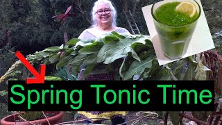 Make a homemade spring tonic today!