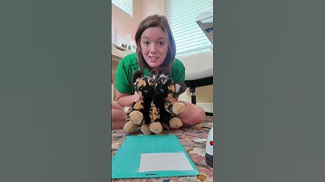 Beginner HTV (heat transfer vinyl) tutorial part 2! #cricutbeginner