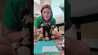 Beginner HTV (heat transfer vinyl) tutorial part 2! #cricutbeginner