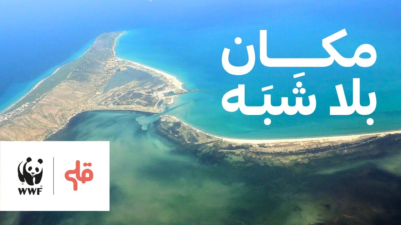 موقع فريد في العالم .. موجود في تونس