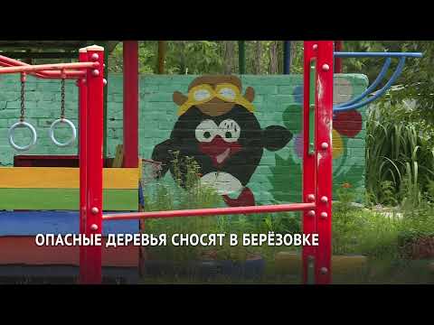 Опасные «Берёзовские столбы» снесли в Хабаровске