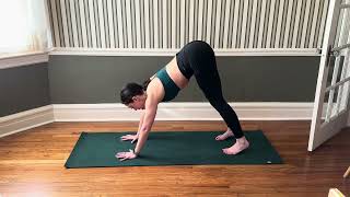 Beast Hover to Downward Dog