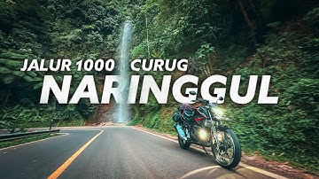 Akhirnya Lewat Jalan Viral!! PANGANDARAN - DEPOK via Naringgul