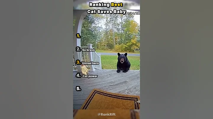 Cat Saves Baby From Bear Attack – Caught On Camera! 😱🐱 #shorts #cat #baby