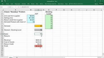 Newsboy Example with Analytic Solver Platform
