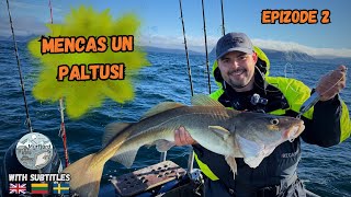 Lielas mencas un pirmais paltuss! Makšķerēšana Norvēģijā! Cod and Halibut fishing in Norway!