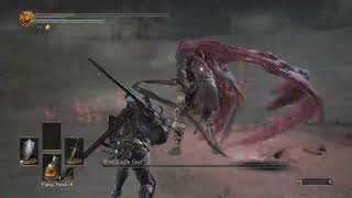 ds3 in a nutshell 5