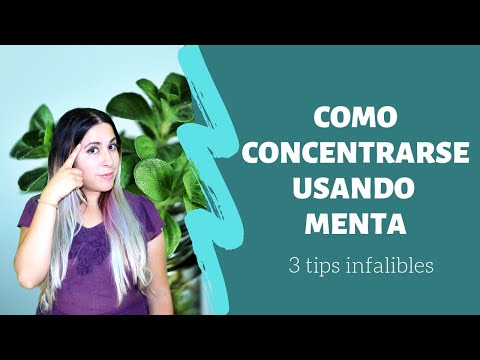 Cómo concentrarse para estudiar usando Menta