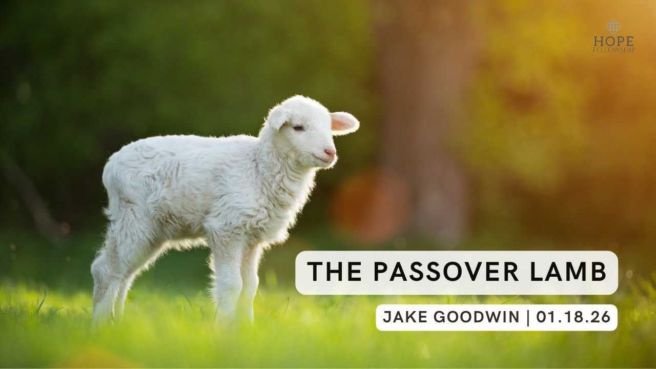The Passover Lamb 1 18 26   Made with Clipchamp