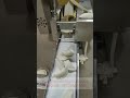 curry puff  dumpling empanada machine