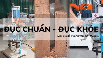 Trải Nghiệm Sức Đục Siêu Chuẩn, Siêu Khỏe Của Máy Đục Lỗ Vuông Vam Hơi MZ1610 | www.vinachi.vn