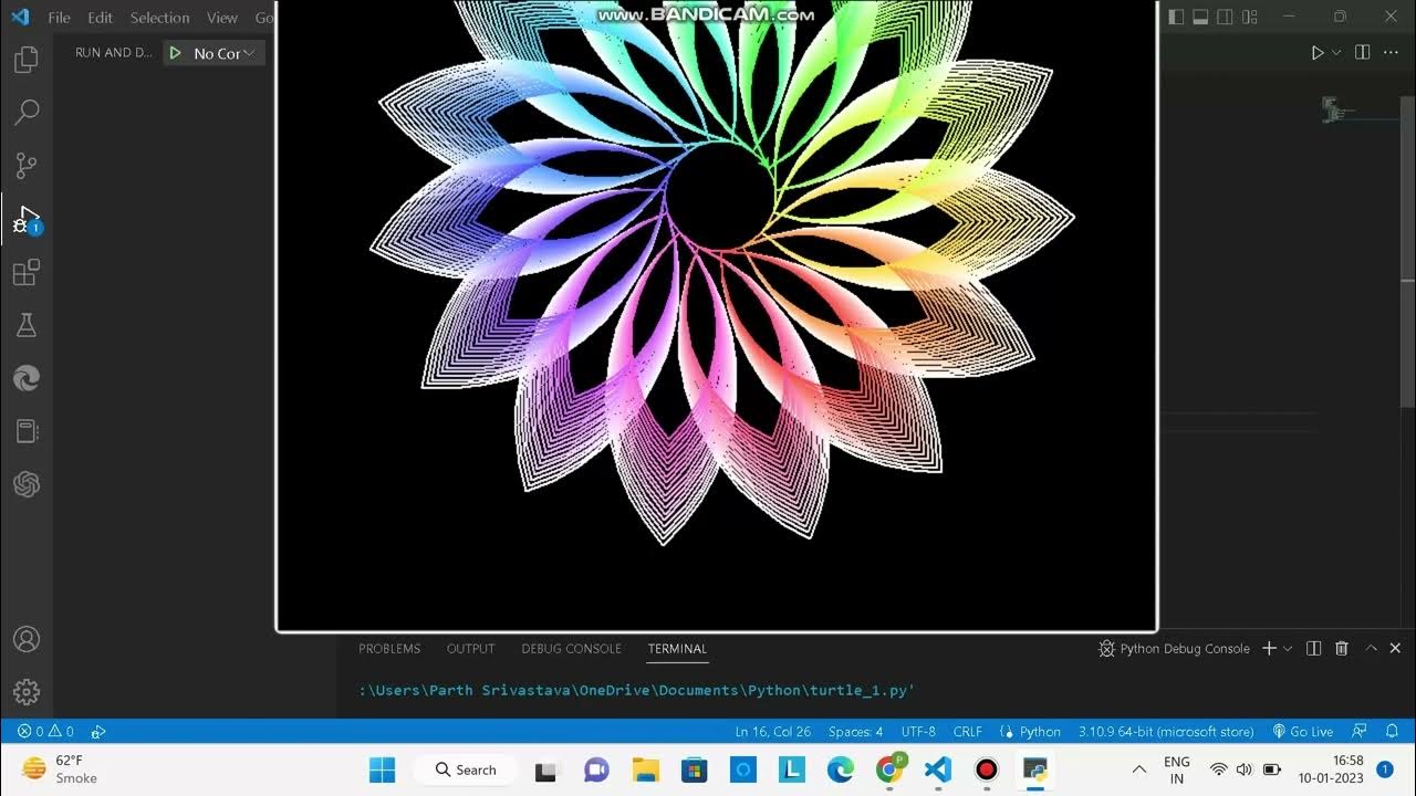 Colourful Flower in Python - YouTube
