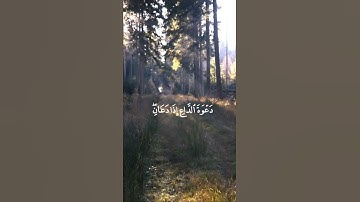 وَإِذَا سَأَلَكَ عِبَادِي عَنِّي فَإِنِّي قَرِيبٌ __القارئ عبد الباسط عبد الصمد