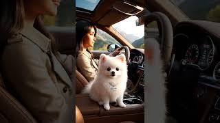 what a surprise   #CuteFunnyDogs #AdorablePuppies#Happy kiwi