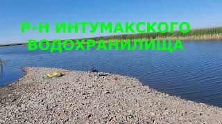 Нура - зеленая вода, рыбные места
