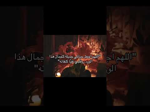 احب ورده ليلي